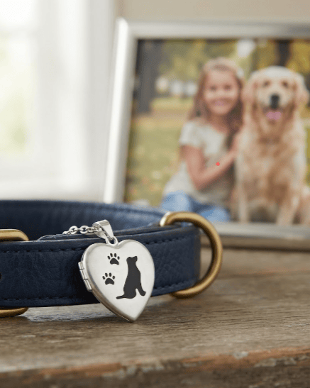 Loved Remembered Dog Paw Print Locket Urn