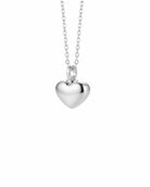 Loved Remembered STAINLESS 26 Ashes Heart Pendant Urn